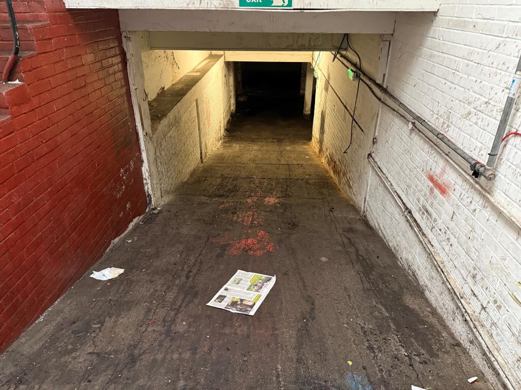 Lot: 24 - FORMER SHOWROOM WITH DEVELOPMENT POTENTIAL (STNC) - View of driveway to lower ground floor